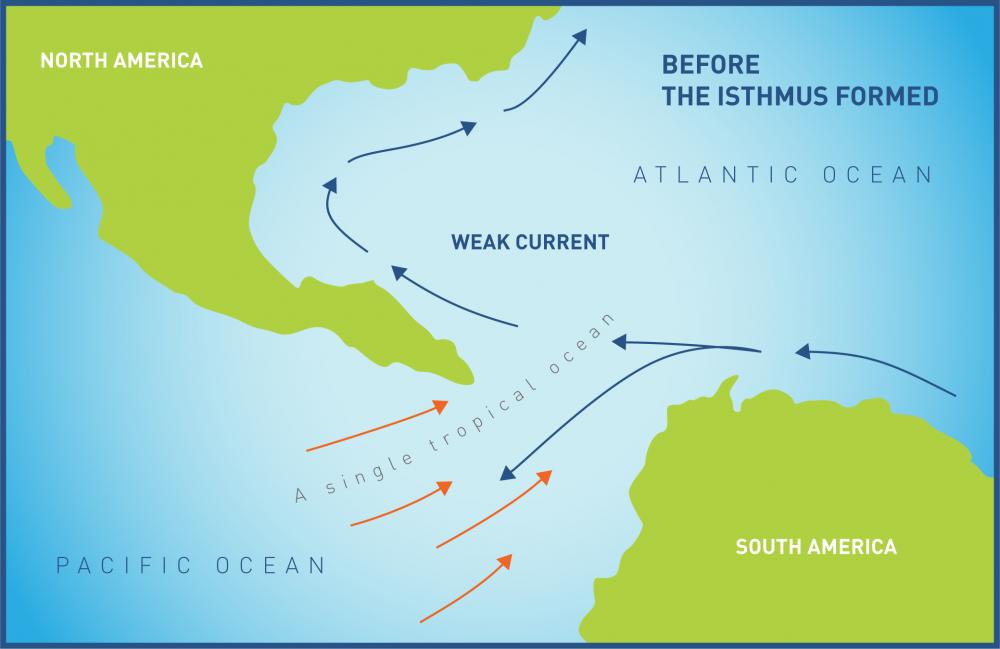 Smithsonian Uses Fossil Records In Panama To Model Future Climate ...